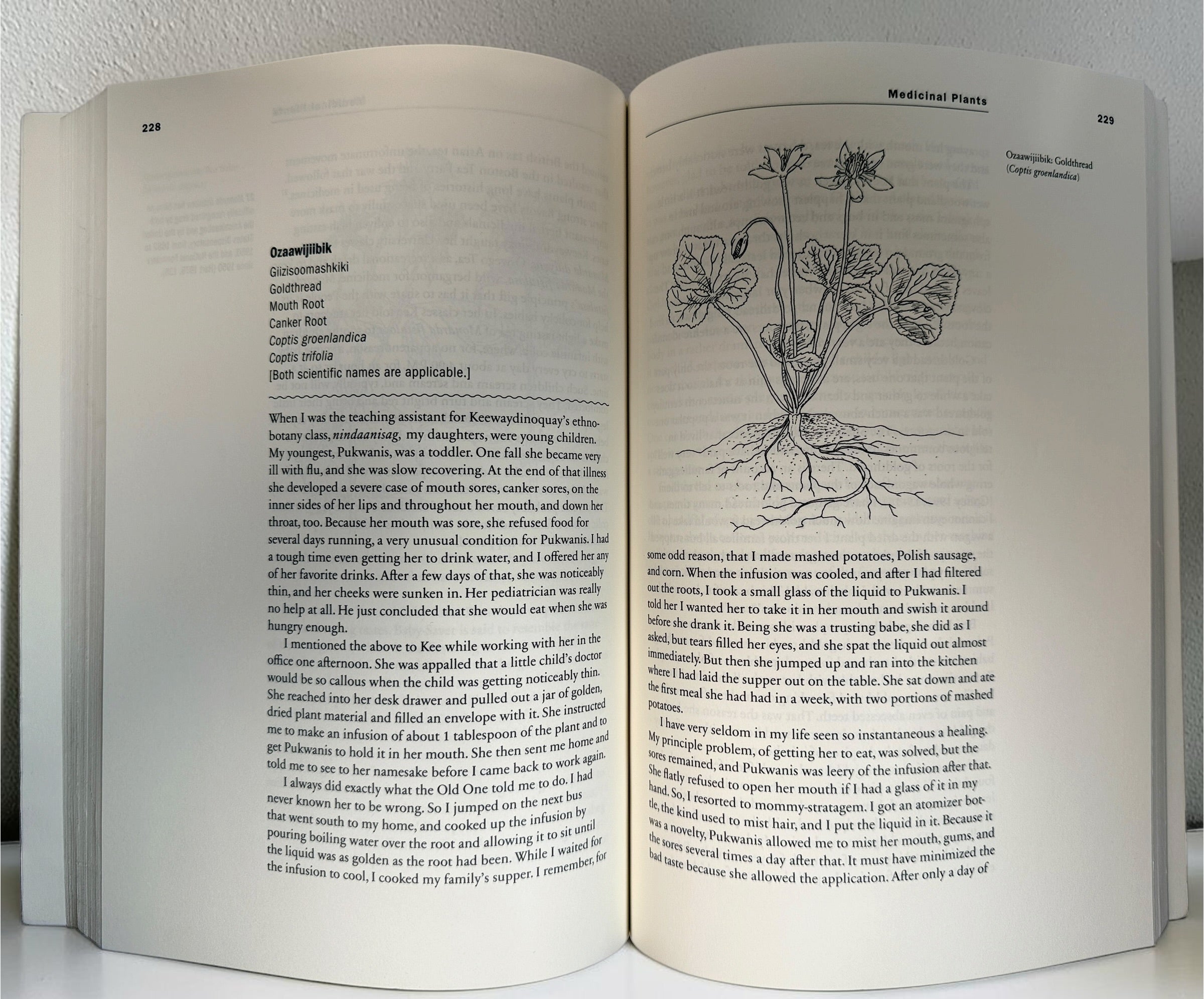 Plants Have So Much to Give Us – Anishinaabe Teachings, 2015