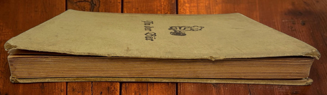 Discover a vintage German edition of Pu der Bär by A. A. Milne, illustrated by E. H. Shepard. Undated hardcover with visible age and wear.