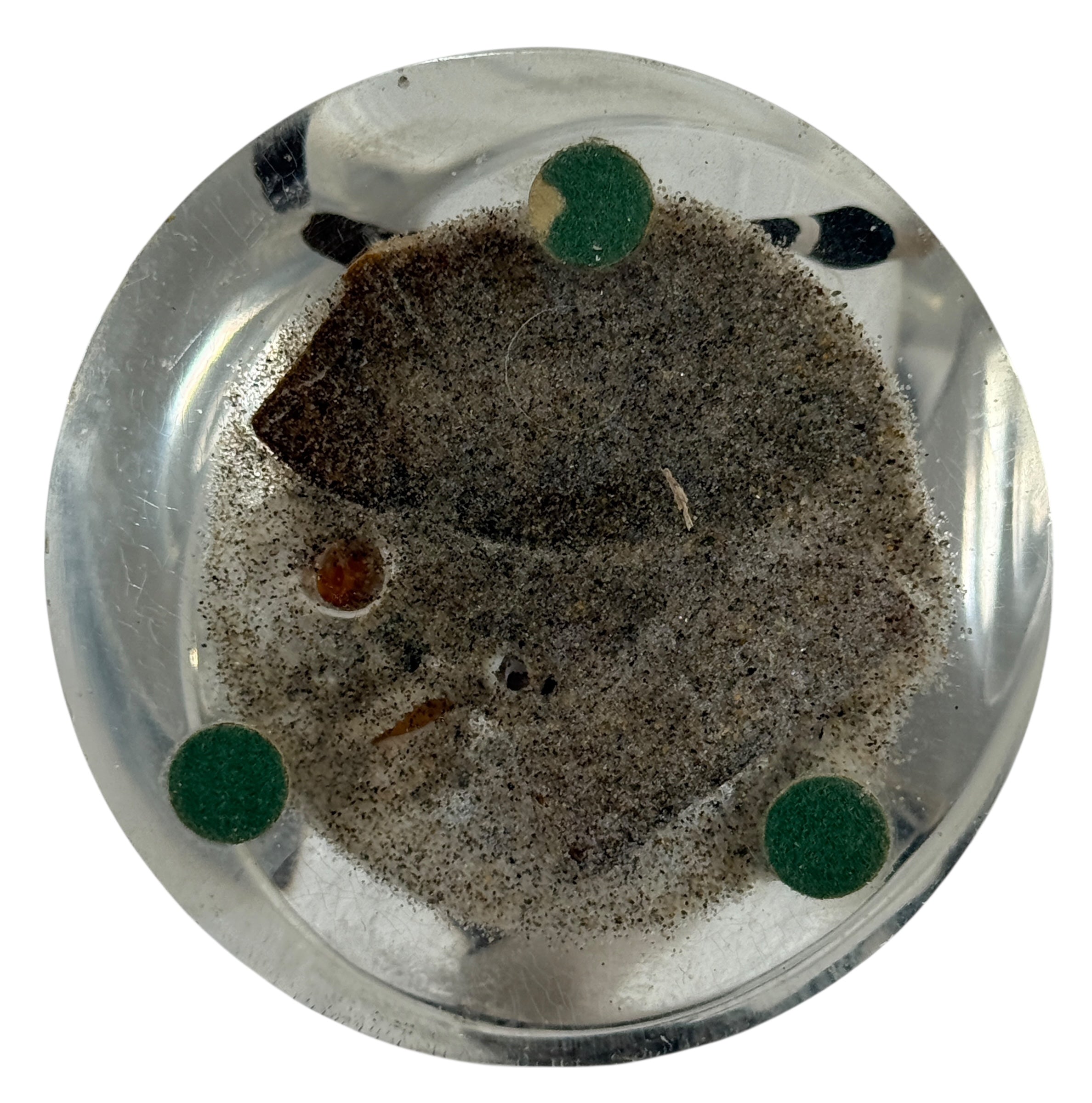 Presse-papier en résine, scène d'oiseaux nautiques en Lucite du milieu du siècle