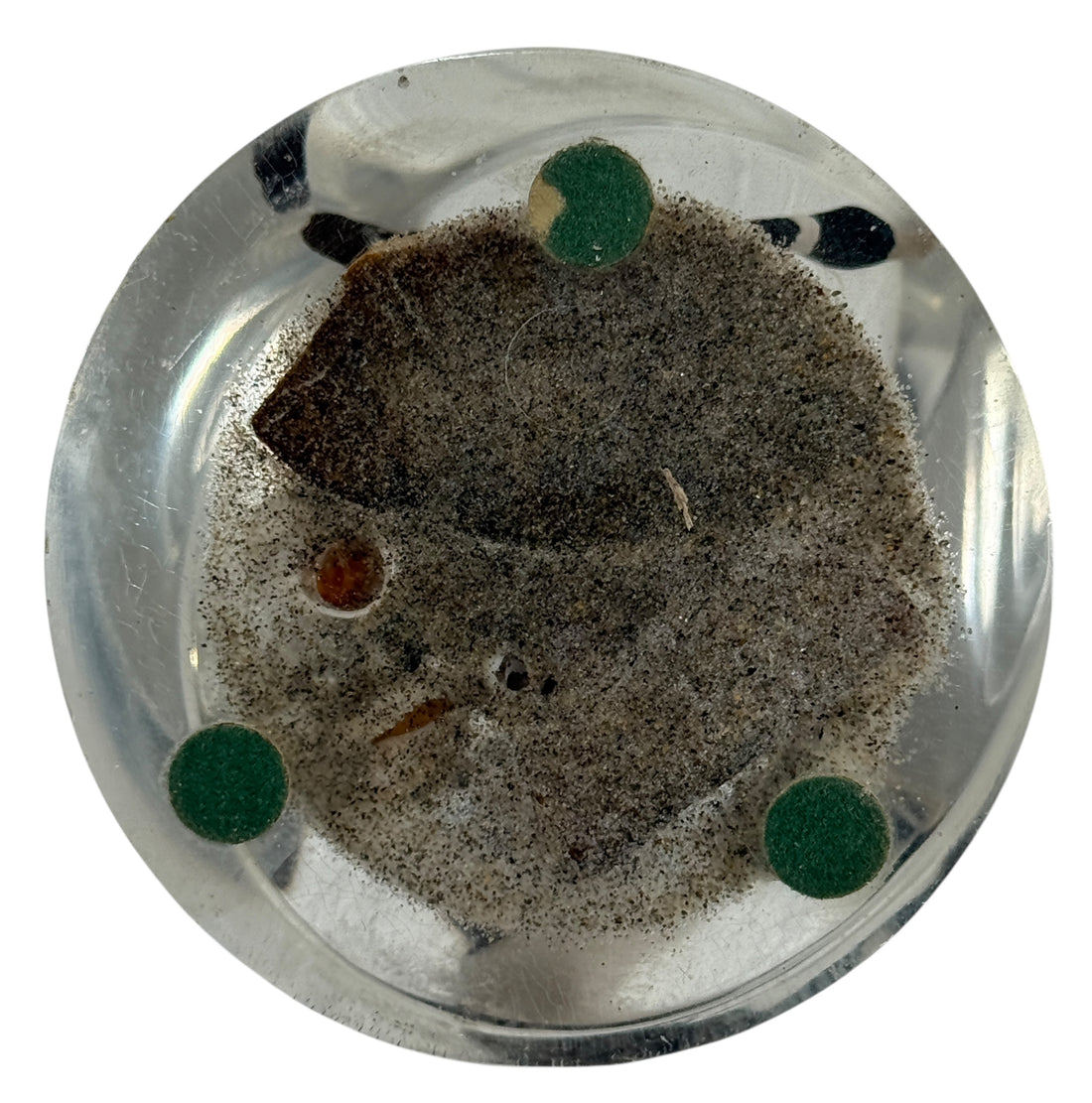 Presse-papier en résine, scène d'oiseaux nautiques en Lucite du milieu du siècle