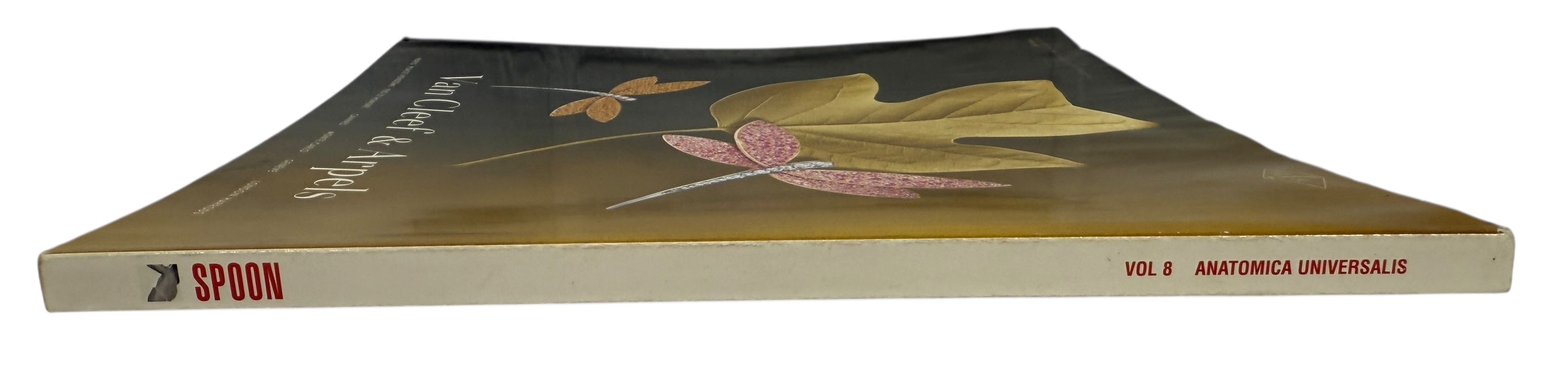 Spoon Magazine Volume 8 (2001) –  Collectible, Anatomica Universalis