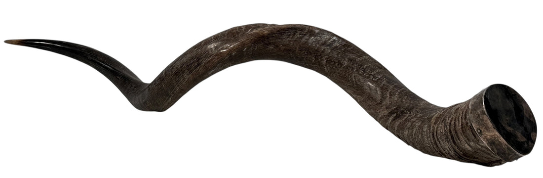 Vintage Kudu Shofar – Natural Patina Silver-Capped Horn