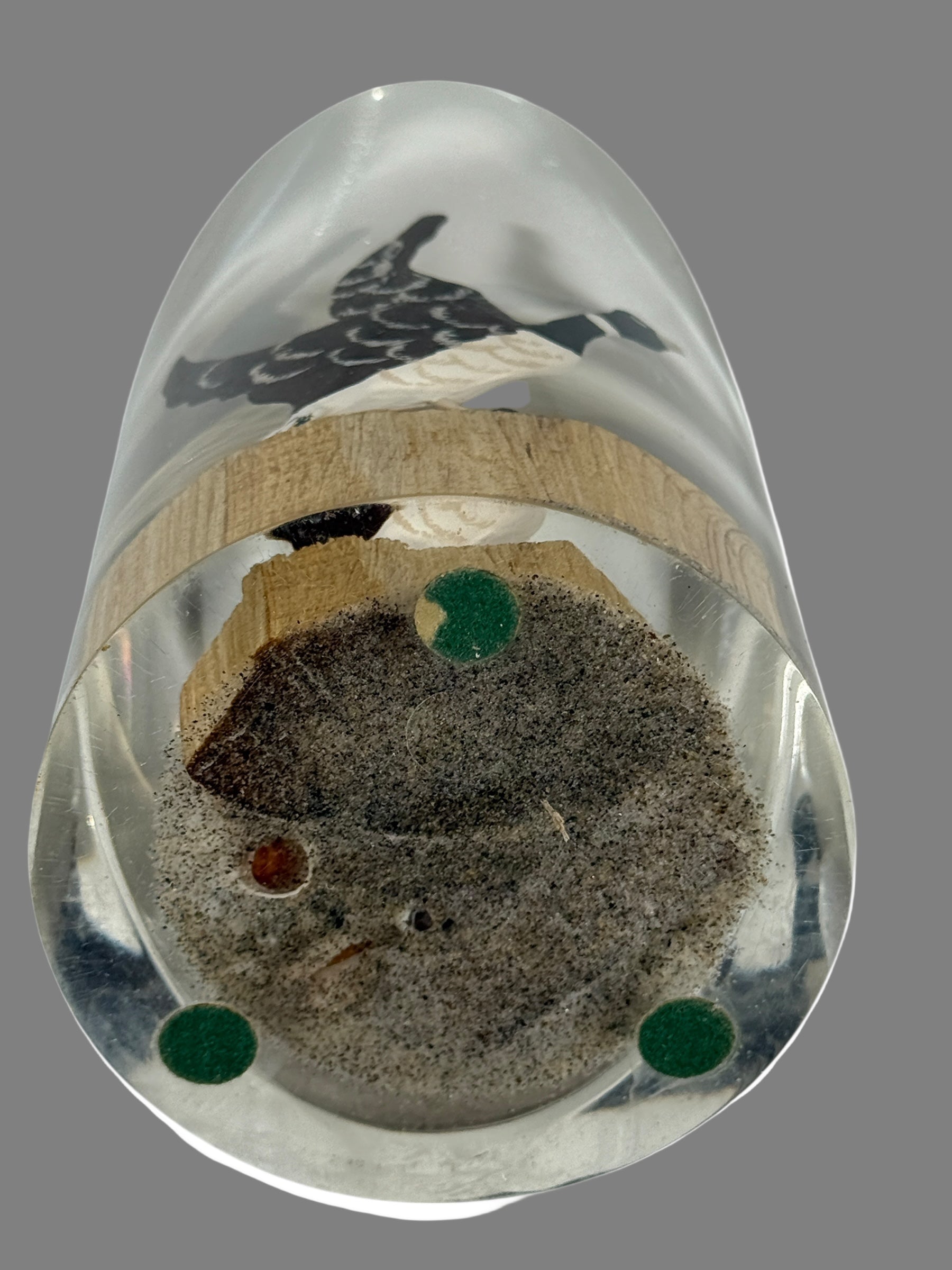 Presse-papier en résine, scène d'oiseaux nautiques en Lucite du milieu du siècle