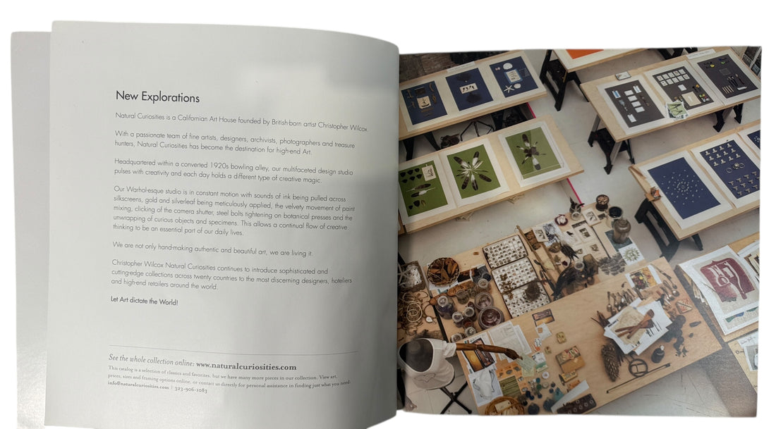 Natural Curiosities New Explorations art catalog with full-color plates and studio imagery. Rare design trade book for collectors, decorators, and visual reference.