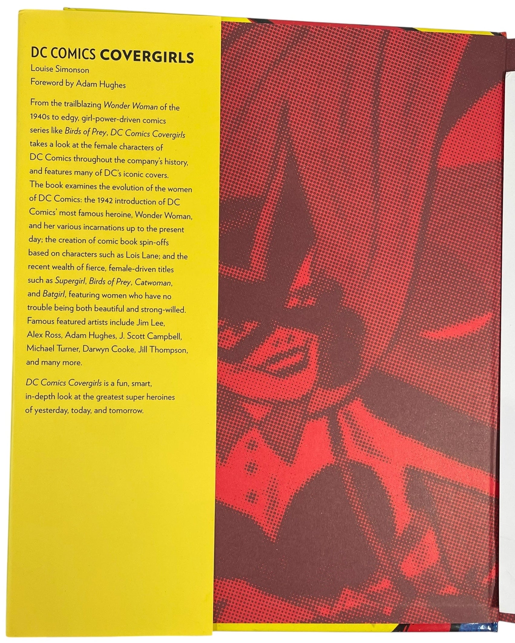 DC Comics Covergirls, couverture rigide 2007 – Art of Superheroines, Nouveau-Mexique, - M