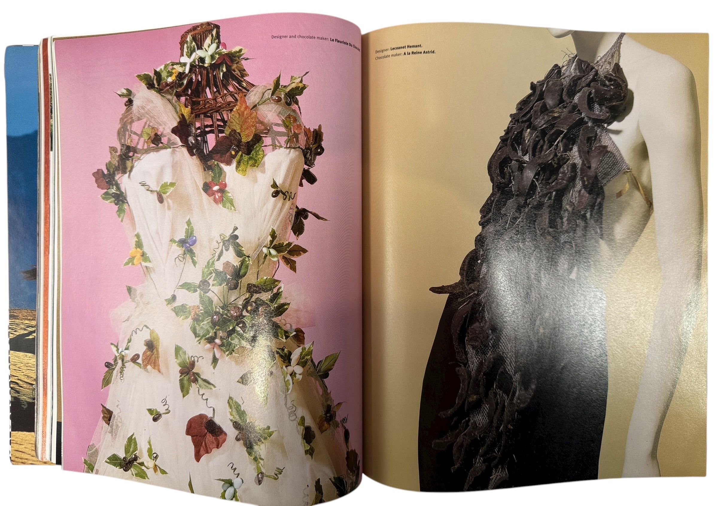 Flaunt Magazine, Issue No. 12, Giovanni Ribisi,  “The Observer”