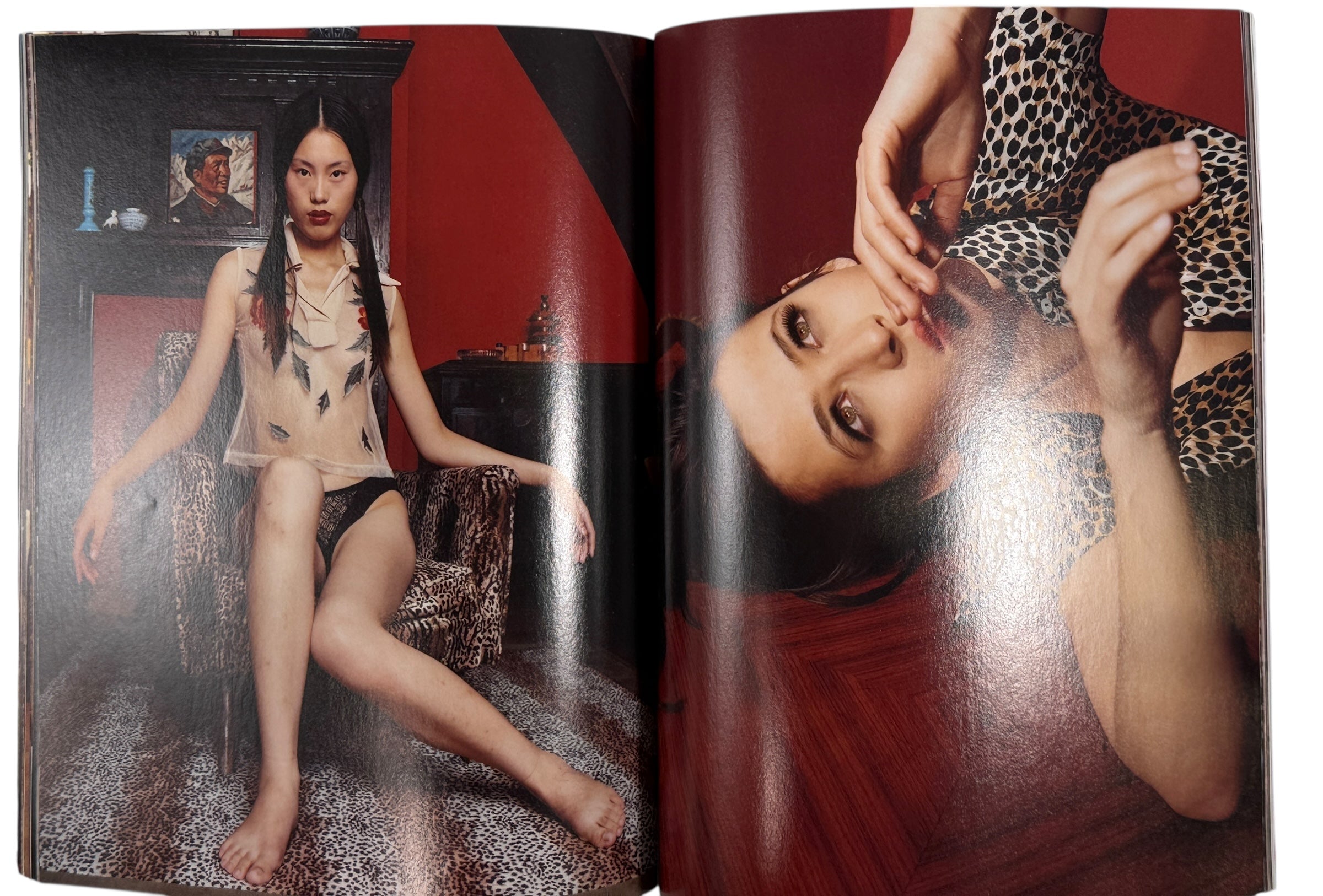 Bettina Rheims Photo Book – 100 Photos for Press Freedom