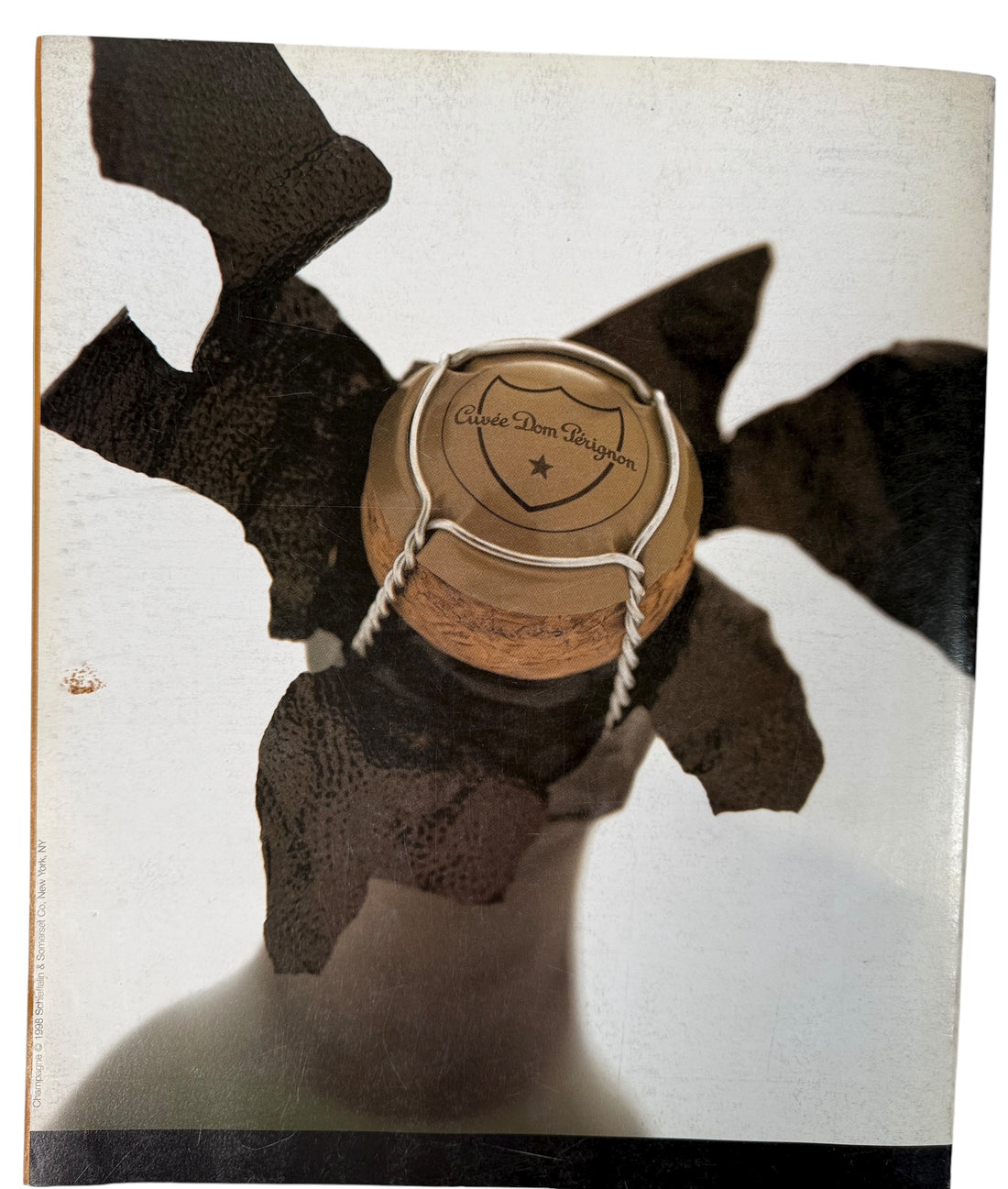 Flaunt Magazine, Issue No. 12, Giovanni Ribisi,  “The Observer”