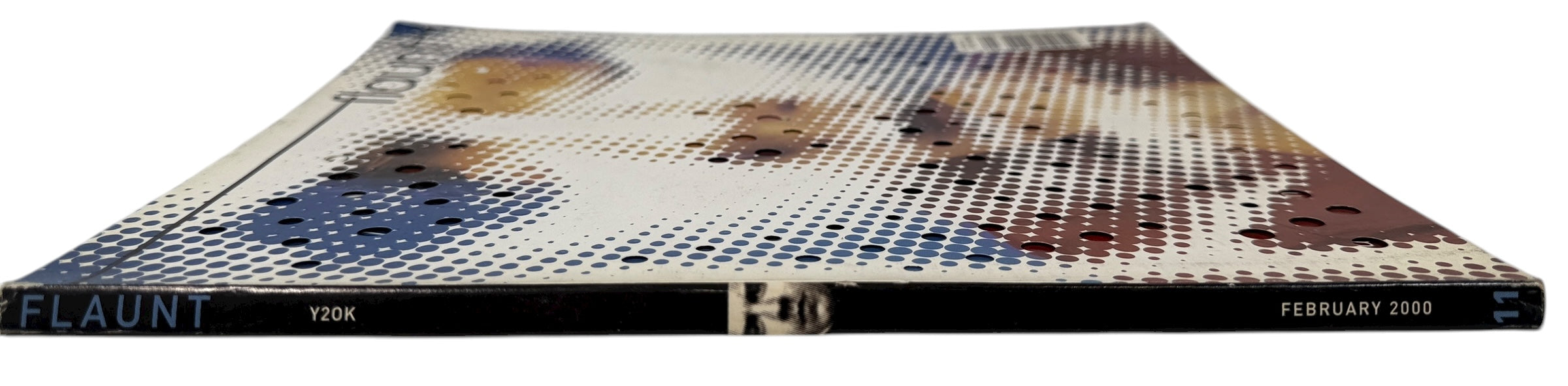 Flaunt Magazine, Issue No. 12, Giovanni Ribisi,  “The Observer”