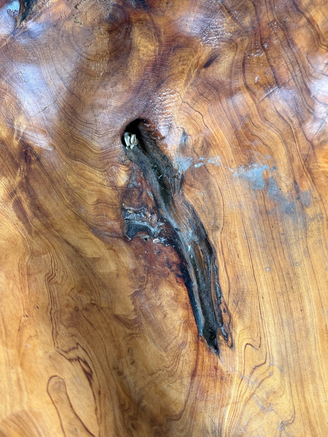 Oversized Olive Wood Root Bowl – Hand-Carved Decorative Centerpiece