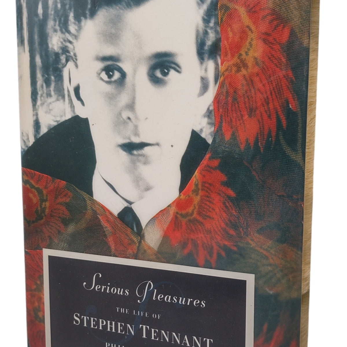 Serious Pleasures: The Life of Stephen Tennant , Philip Hoare – Éco ...