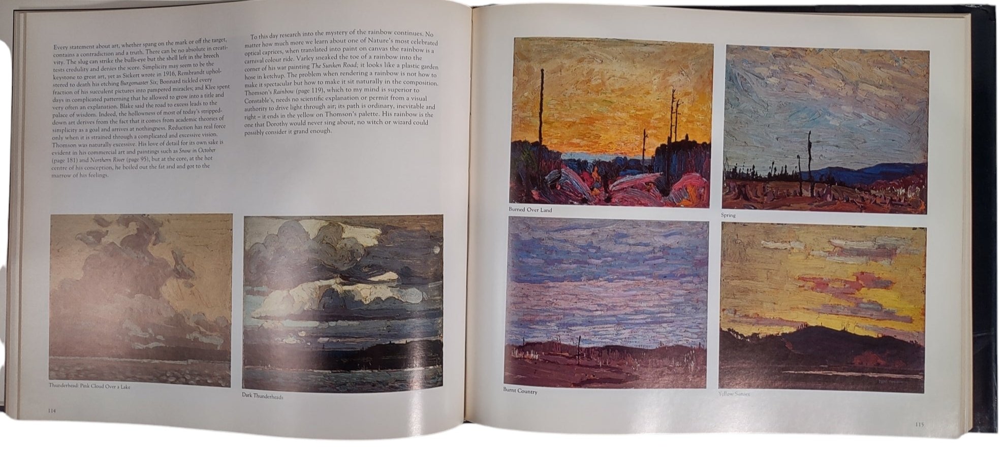 Tom Thomson - The Silence & the Storm, Hardcover Book – Éco-Dépôt