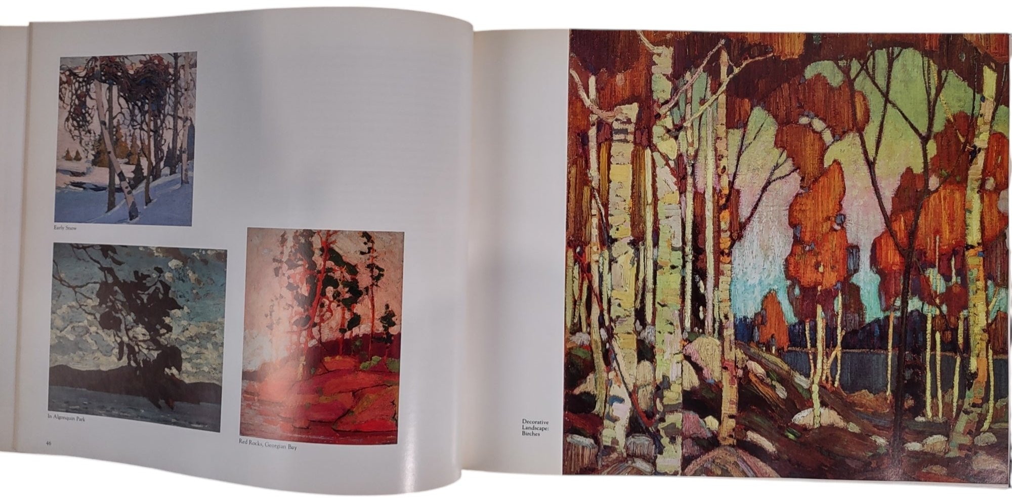 Tom Thomson - The Silence & the Storm, Hardcover Book – Éco-Dépôt