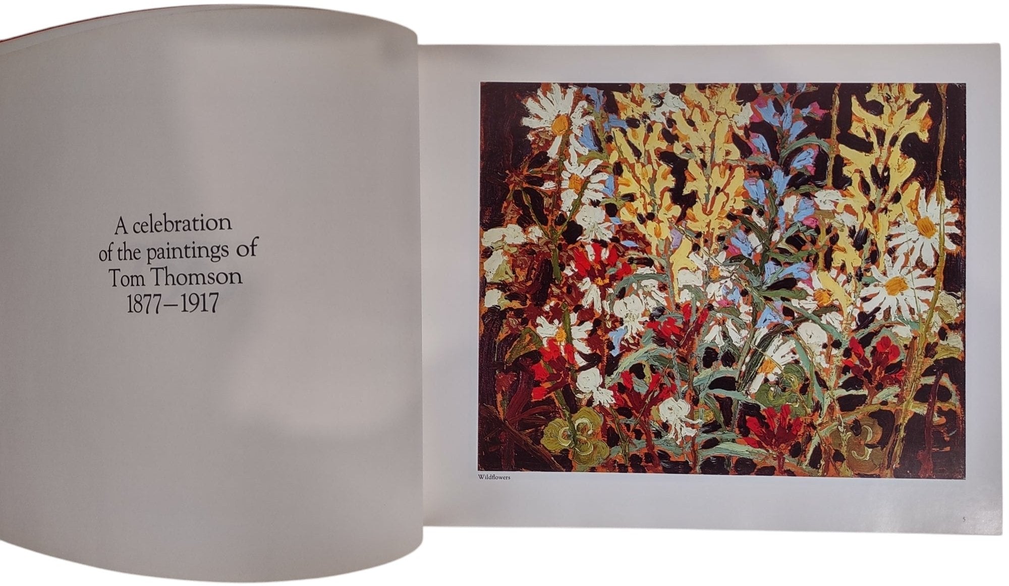 Tom Thomson - The Silence & the Storm, Hardcover Book – Éco-Dépôt