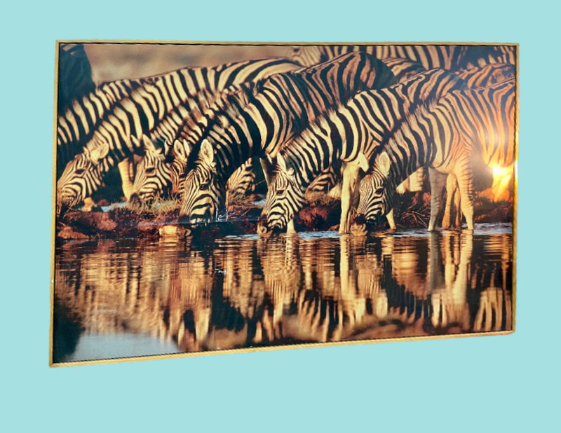 Framed Zebra Print (Wall Size)