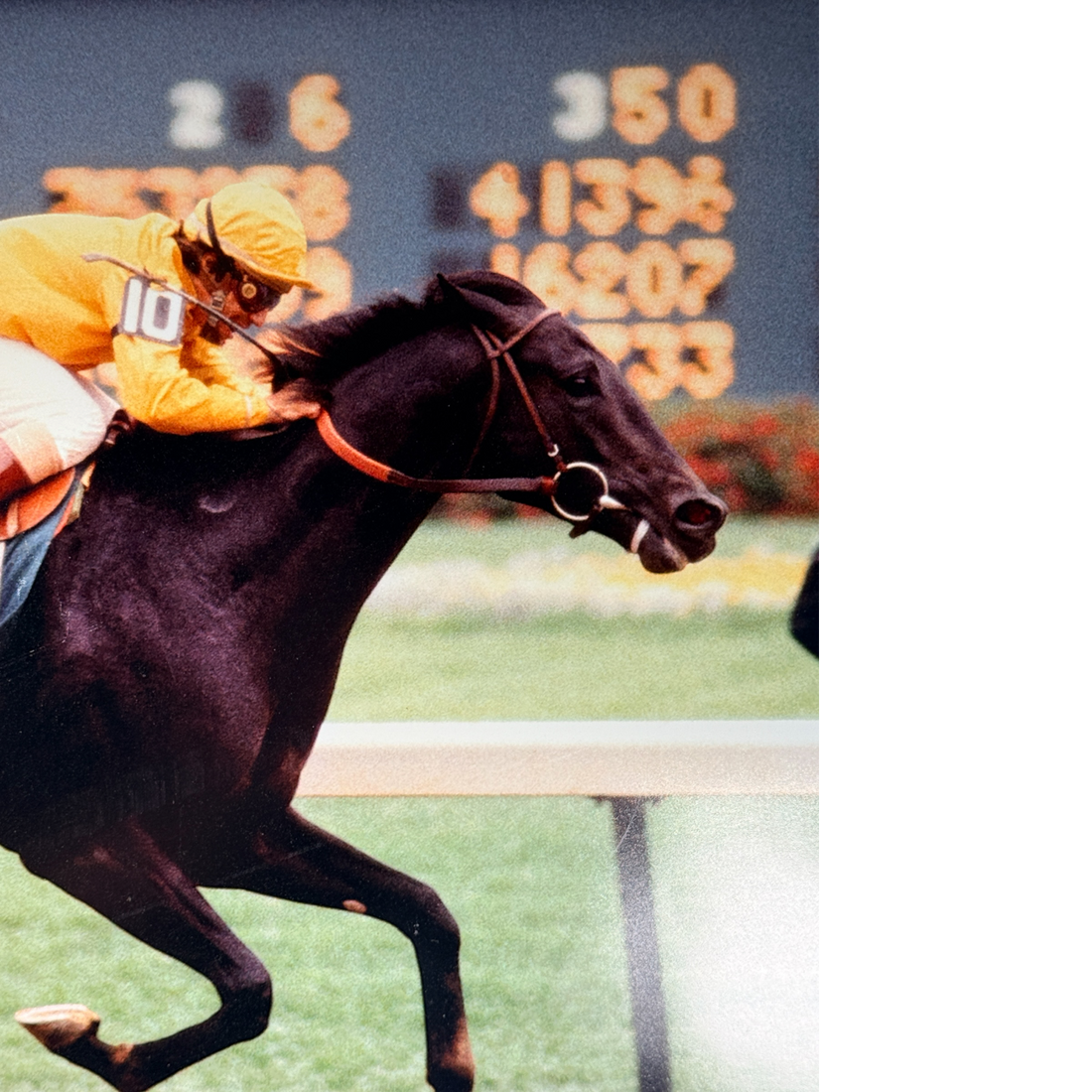 Laffit Pincay Jr. signed 16×20 photo riding Swale at the 1984 Kentucky Derby. Framed and matted with Hall of Fame Sports authentication.