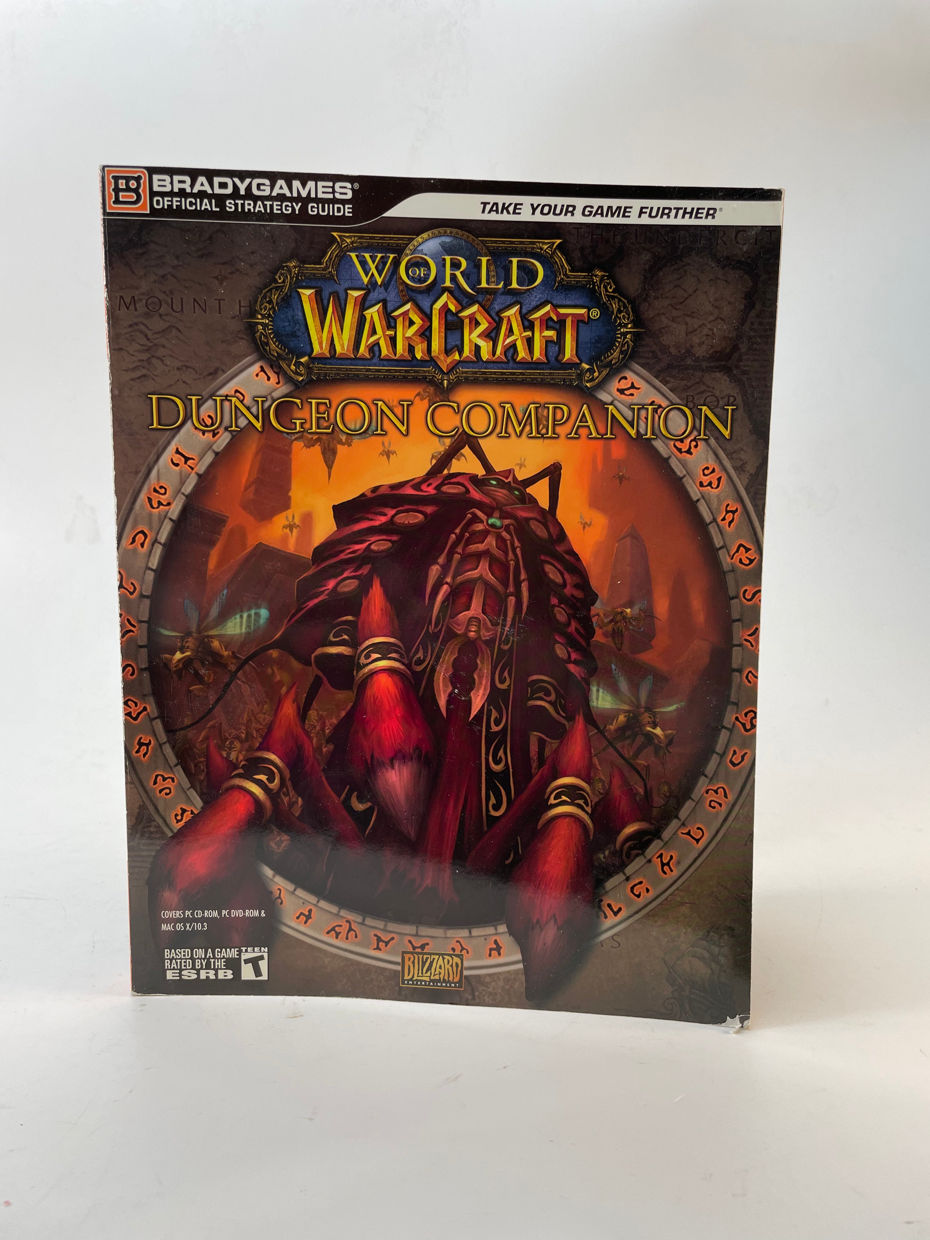 World of Warcraft Dungeon Companion Strategy Guide