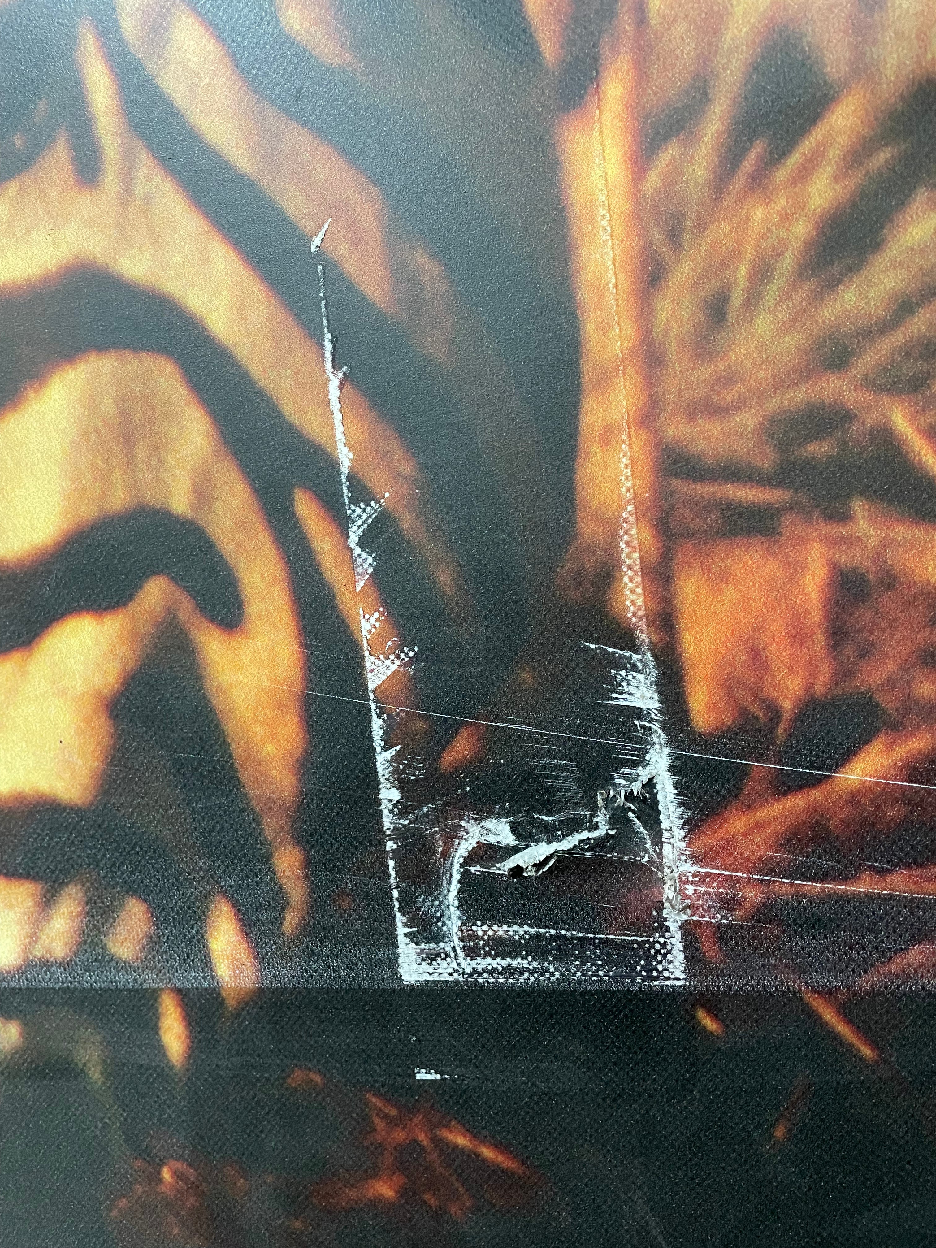 Framed Zebra Print (Wall Size)