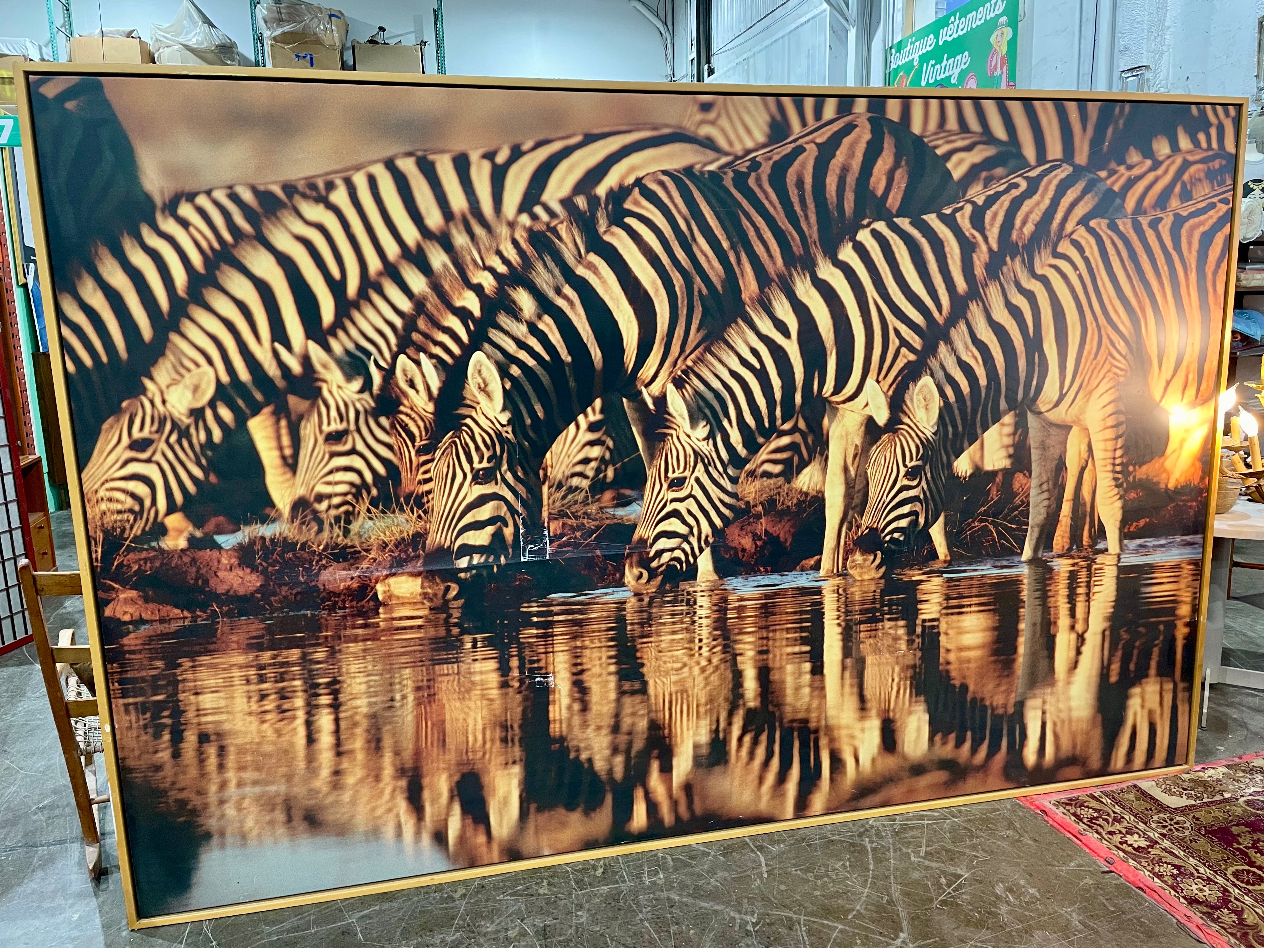 Impression zébrée encadrée (format mural)